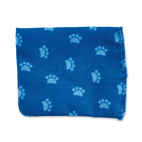 42744 narozeninova oslava 4