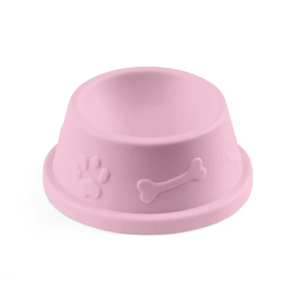 42746 piknik s lisou 5