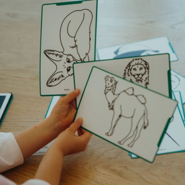 REFIL MINI AAW OPI doplnkove karty 5