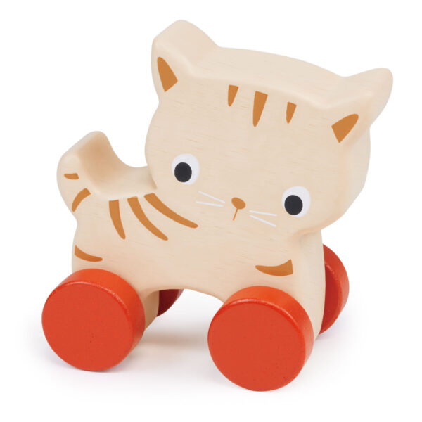 MT7105 kitten on wheels 1