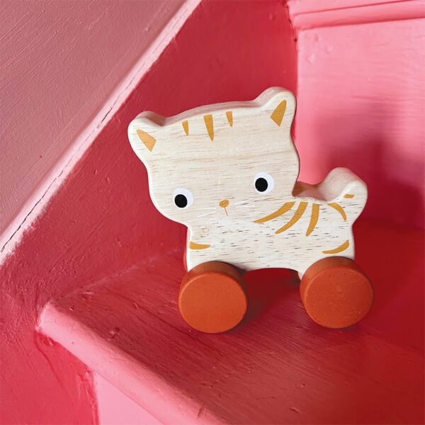 MT7105 kitten on wheels LR4