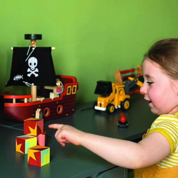 MT7903 fishbones pirate ship MT7113 toy colour blocks LR1