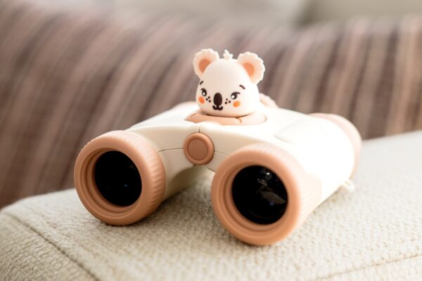The Zoofamily Zoo Eyes Binoculars Koala Photo 16