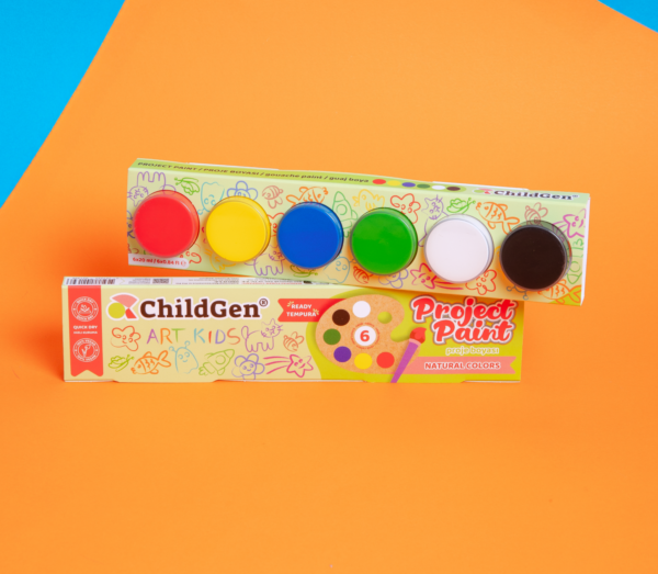 eng pl PROJECT PAINT 6x20 ML 306 1