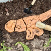 Yellow Door Dig and Discover Ankylosaurus Tyrannosaurus rex YD1227