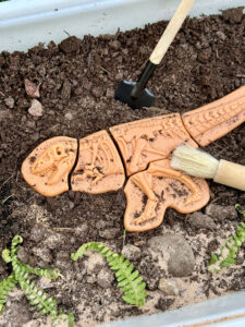 Yellow Door Dig and Discover Ankylosaurus Tyrannosaurus rex YD1227