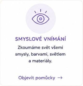 Smyslové vnímání