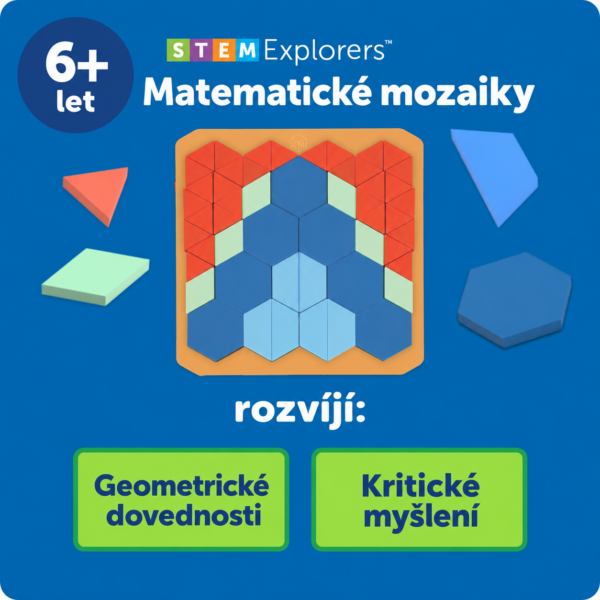 LER9470 mozaika 11