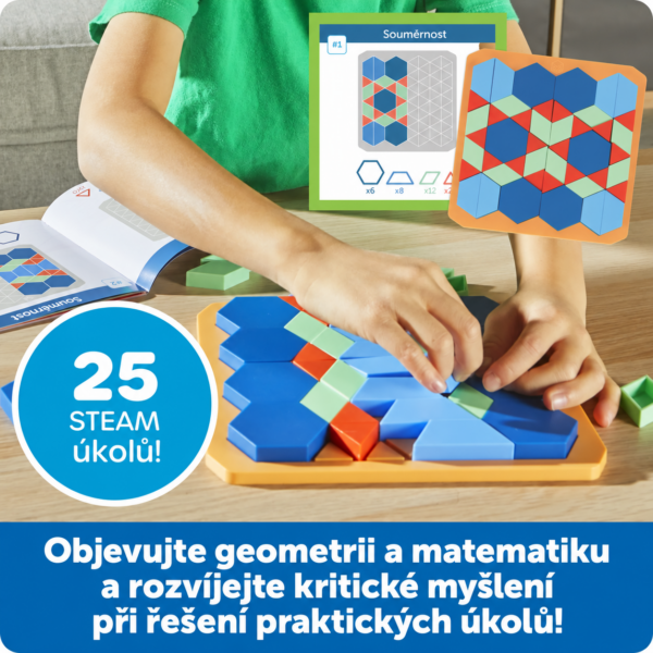 LER9470 mozaika 7